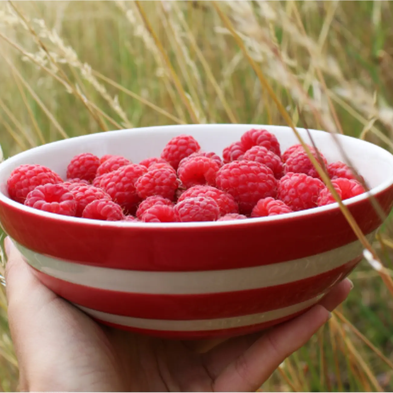 Bowl Cereal Set, Cornish Red